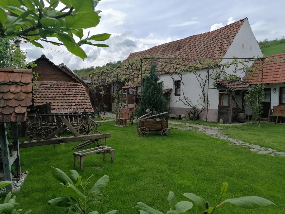 Casa Traditionala Transilvaneana Rucar  ภายนอก รูปภาพ