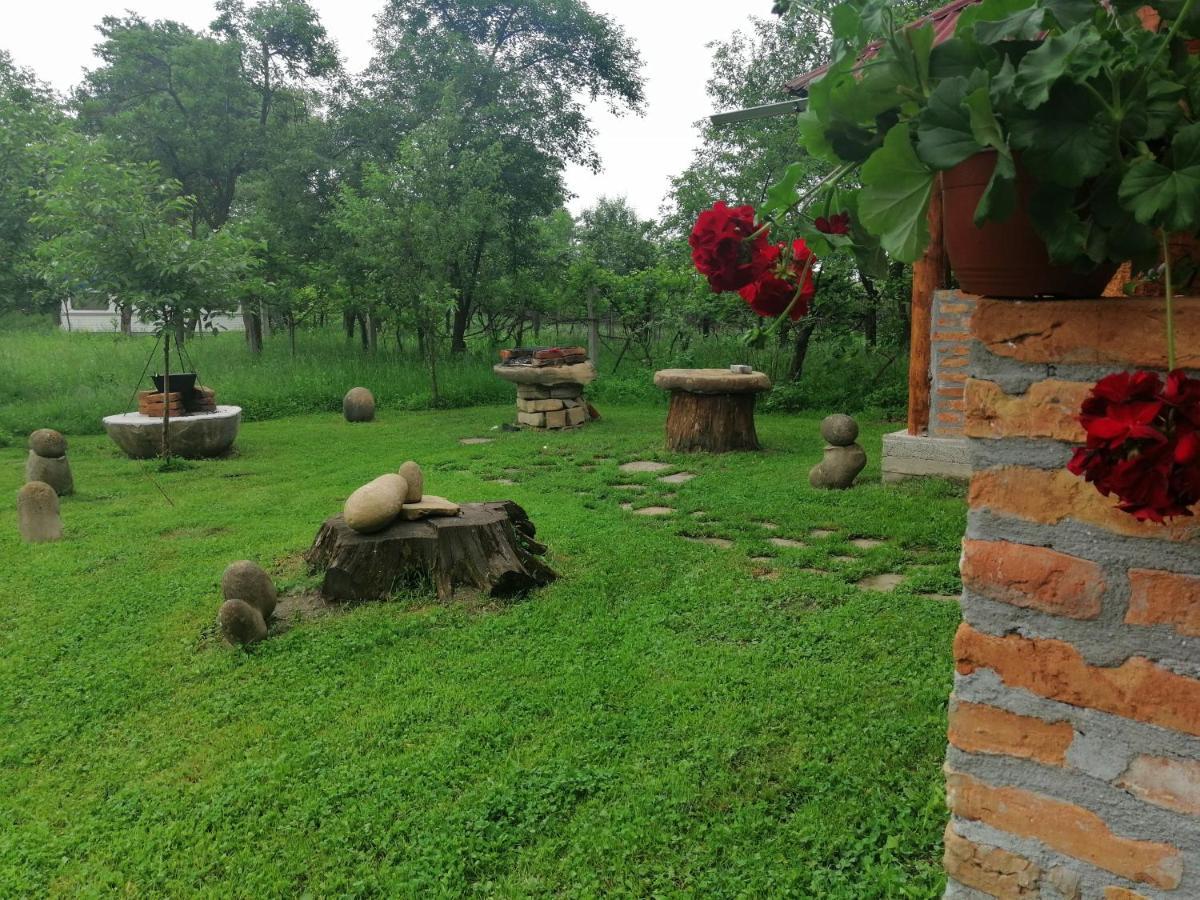 Casa Traditionala Transilvaneana Rucar  ภายนอก รูปภาพ