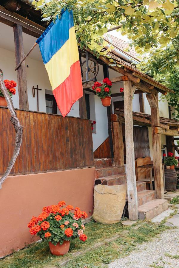Casa Traditionala Transilvaneana Rucar  ภายนอก รูปภาพ